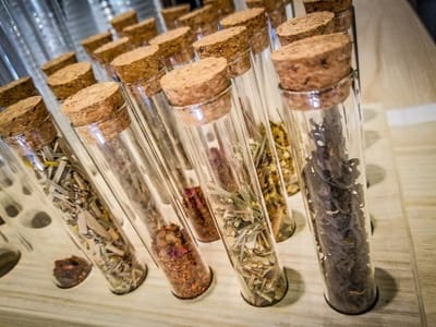 Suprema Coffee Roastery