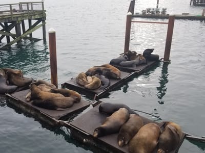 Surf Town Coffee Company Roasting Headquarters (East Location)