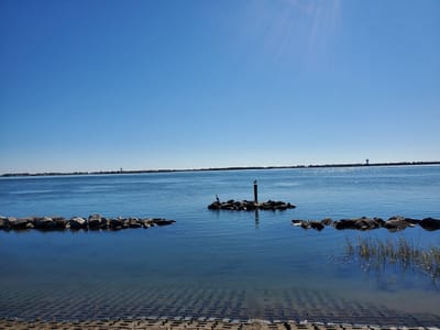 Sweet Beans Midtown Sound Cafe