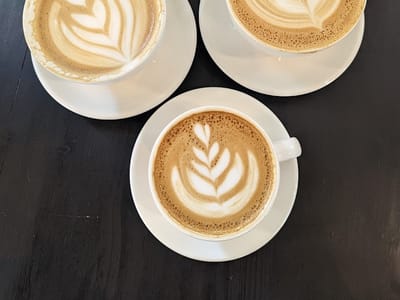 Sweet Bloom Coffee Roasters