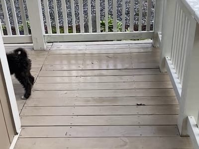 SWEETEN CREEK COFFEE