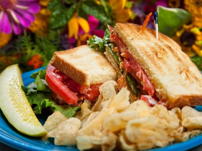 Swiftwater General Store - New River