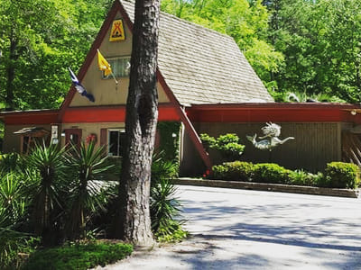 Swimming Mermaid Coffee House & Wine Bar