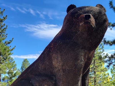 Syd's Bagelery & Espresso