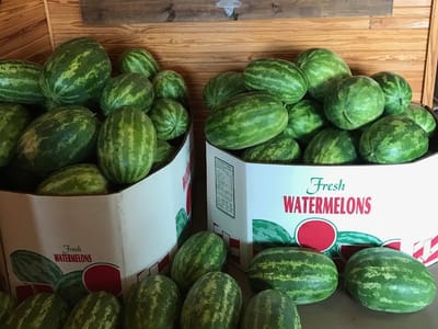 T's Cafe and Catering