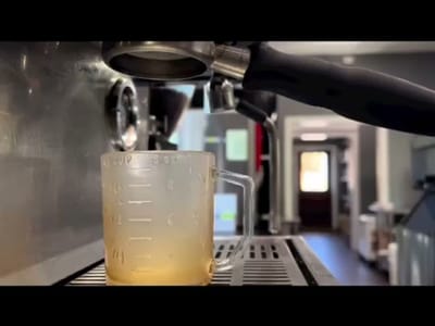 Talia Espresso Boone