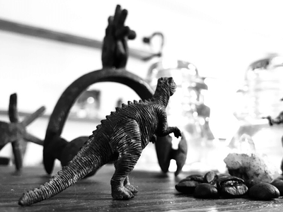 Talking Irons Coffee Saloon