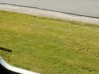 Tasty Bubble Tea and Seafood