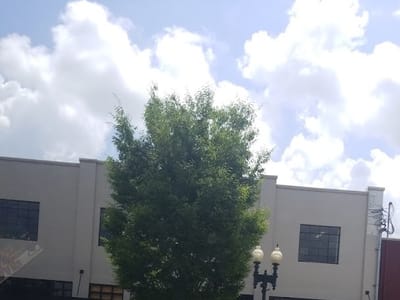 Tennessee Coffee & Smoothie Co.