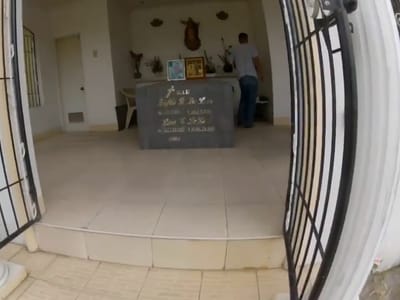 Teofilo Coffee Company