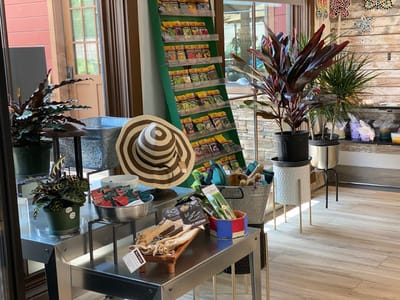 TERI Common Grounds Café & Coffee Bar