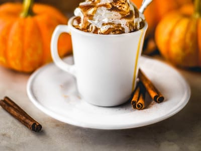 Terre Coffee & Bakery | Govt Way