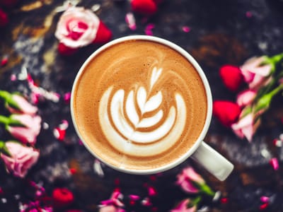 Terre Coffee & Bakery | Spokane St