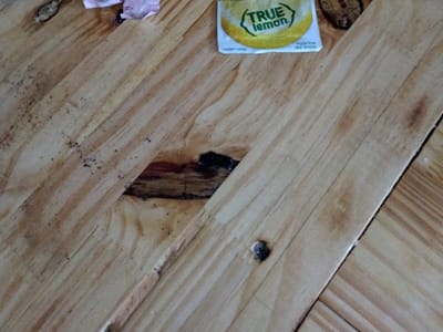 Terri sprague. revitalU