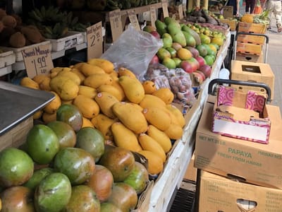 Thanh French Coffee & Bubble Tea