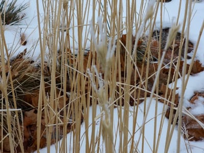 The 1001 Tech Center