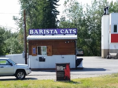 The Barista Cats
