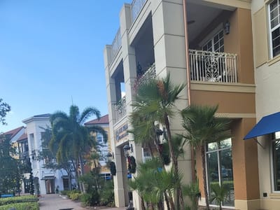 The Bean of Ave Maria