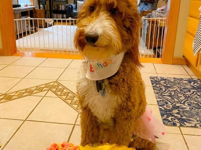 The Beancounter Cafe