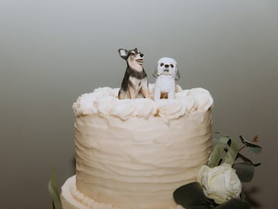 The Bearded Baking Company