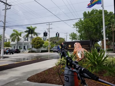 The Best Coffee in Town