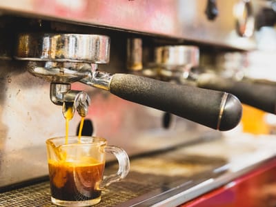 The Black Cow Coffee Co