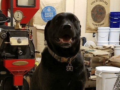 The Black Dog Coffee Company