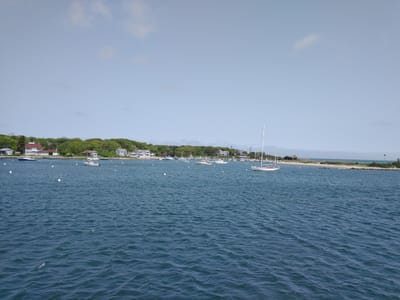 The Black Dog Dockside Cafe