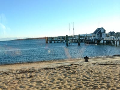 The Black Dog Dockside Cafe