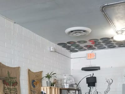 The Black Sheep Coffee+Tea+Smoothies