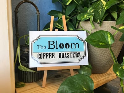The Bloom Coffee Roasters-Rancier