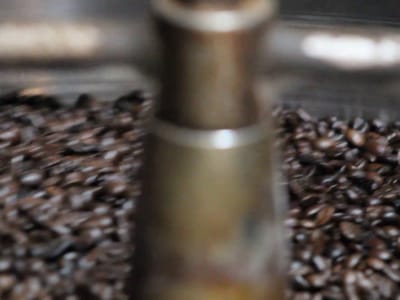 The Blue Strawberry Coffee Company