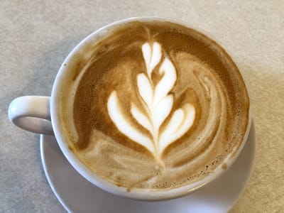 The Blueberry Line Coffee House