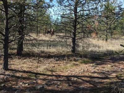 The Blvd Coffee Company