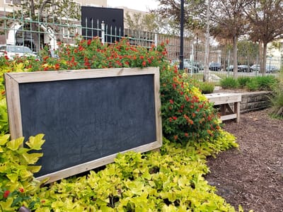 The Bodacious Brew Thru