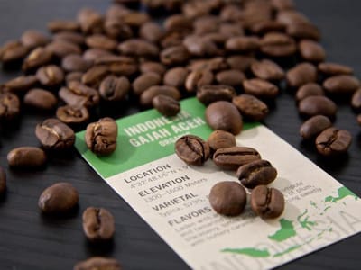 The Bridge Coffee House