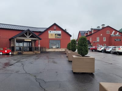 The Buggy Brew Coffee Co