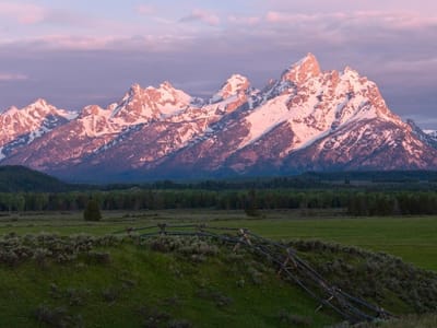 The Bunnery Bakery & Restaurant