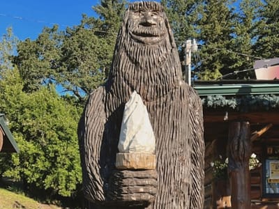 The Cabin Drive Thru