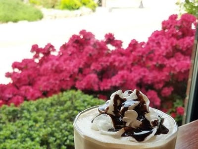 The Campus Daily Grind