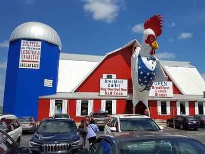 The Chicken House