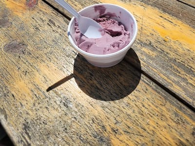 The Chocolate Moose-Brown County