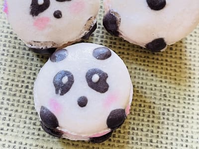 The Chocolate Possum Inc.