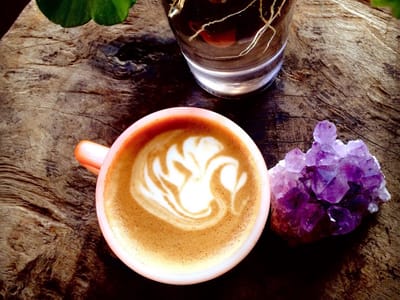 The Coffee Apothecary