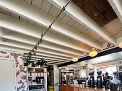 The Coffee Apothecary