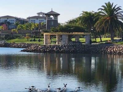 The Coffee Bean & Tea Leaf