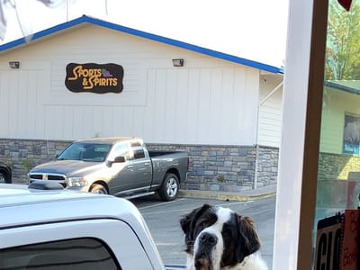 The Coffee Brake, Mt. Shasta, California