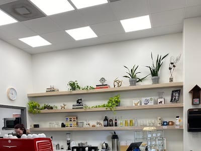 The Coffee Fox Roasting Co.