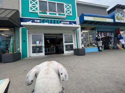 The Coffee House Powered by Schell Brothers