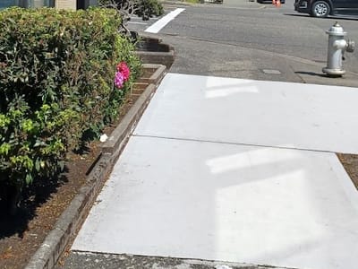 The Coffee Oasis - Tacoma Café